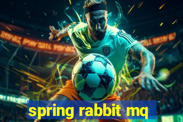 spring rabbit mq